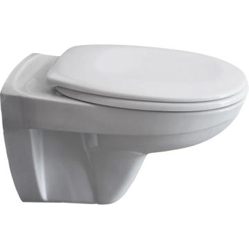 Подвесной унитаз Pestan Fluenta BASIC с крышкой Soft-Close - Изображение 1